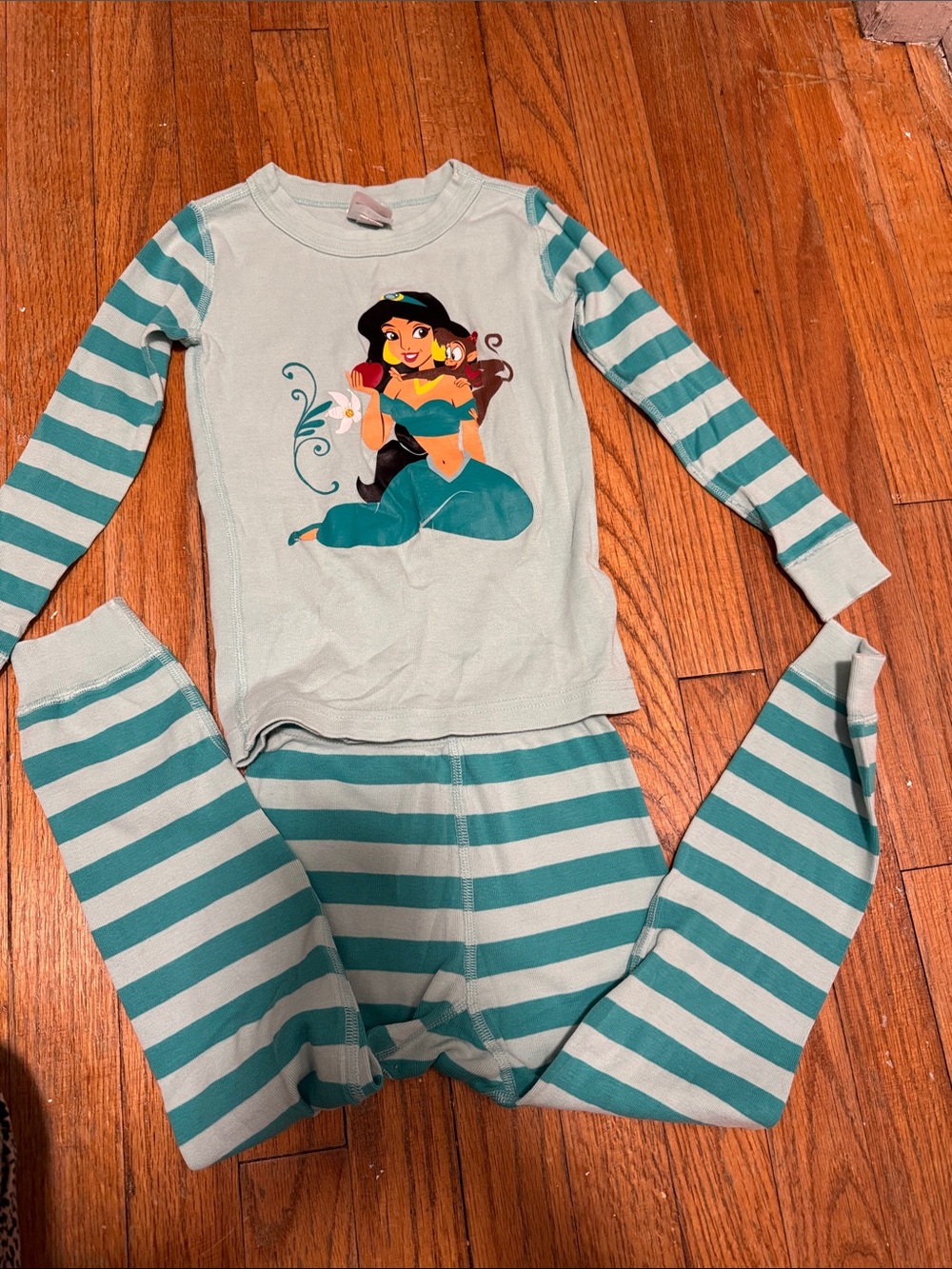 Hanna Andersson Teal Striped Jasmine Graphic Pajama Set